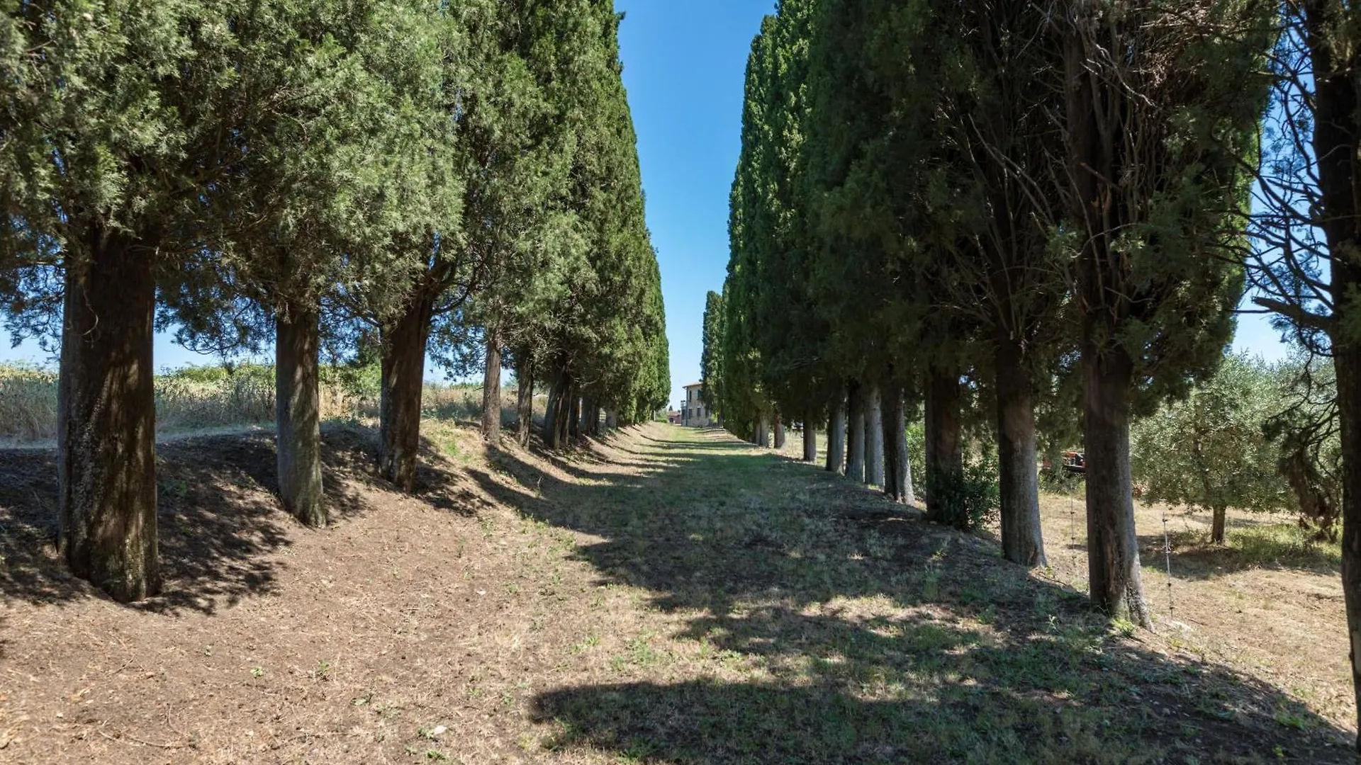 Landhuis Agriturismo Spazzavento Palazzone Italië